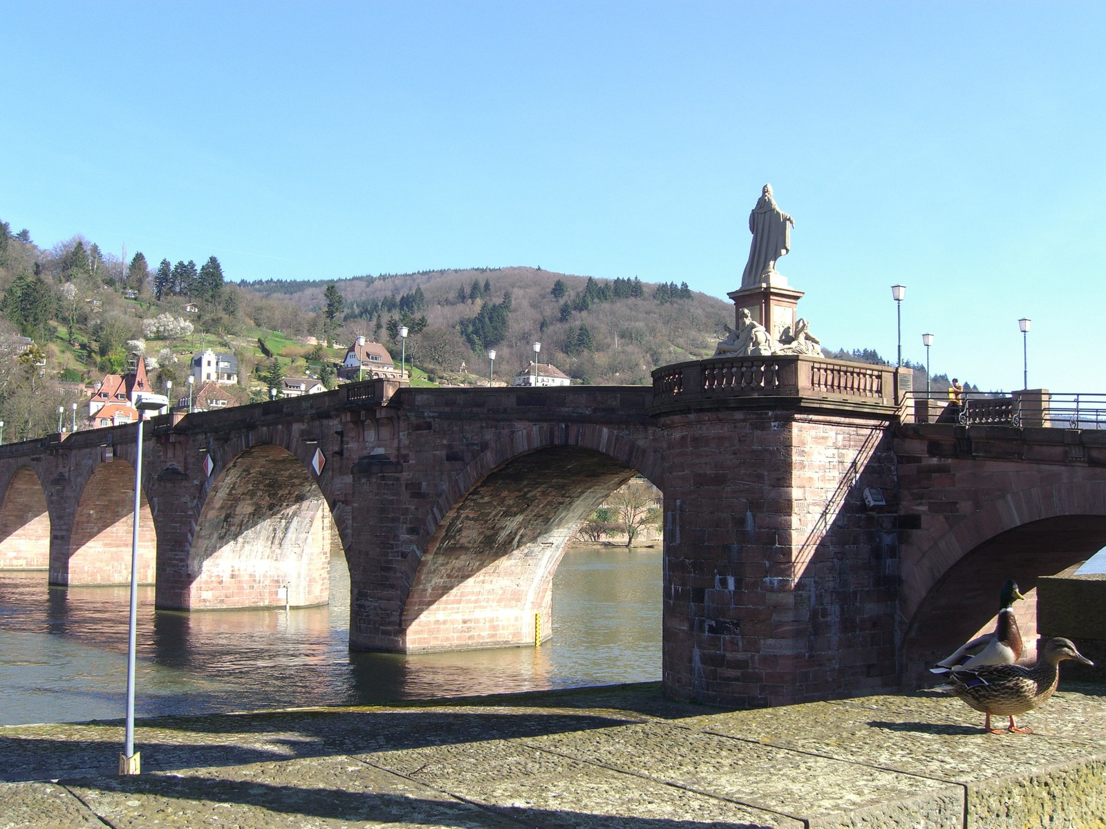 Heidelberg Karl-Theodor-Bruecke Neckar